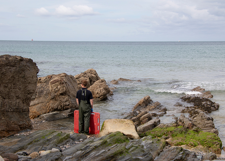Seal Release - 11th May 2026