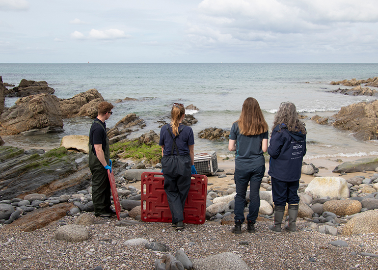 Seal Release - 11th May 2026