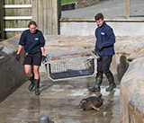Seal Release - 11th May  2026