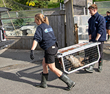 Seal Release - 11th May  2026