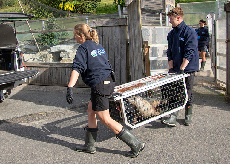 Seal Release - 11th May 2026