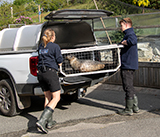 Seal Release - 11th May  2026