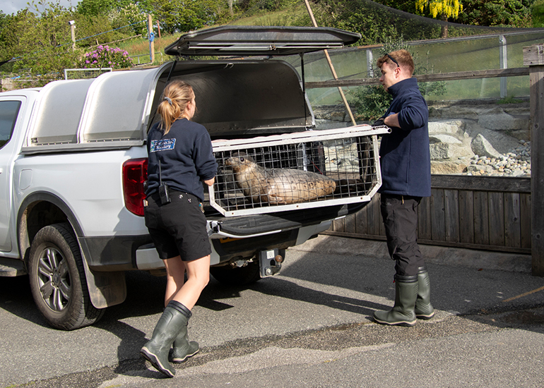 Seal Release - 11th May 2026
