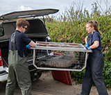 Seal Release - 11th May  2026