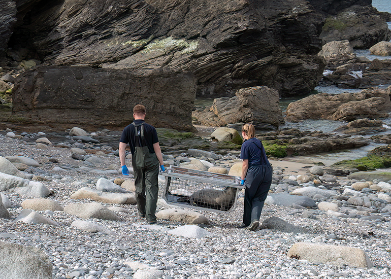Seal Release - 11th May 2026