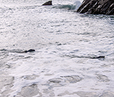 Seal Release - 12th March 2025