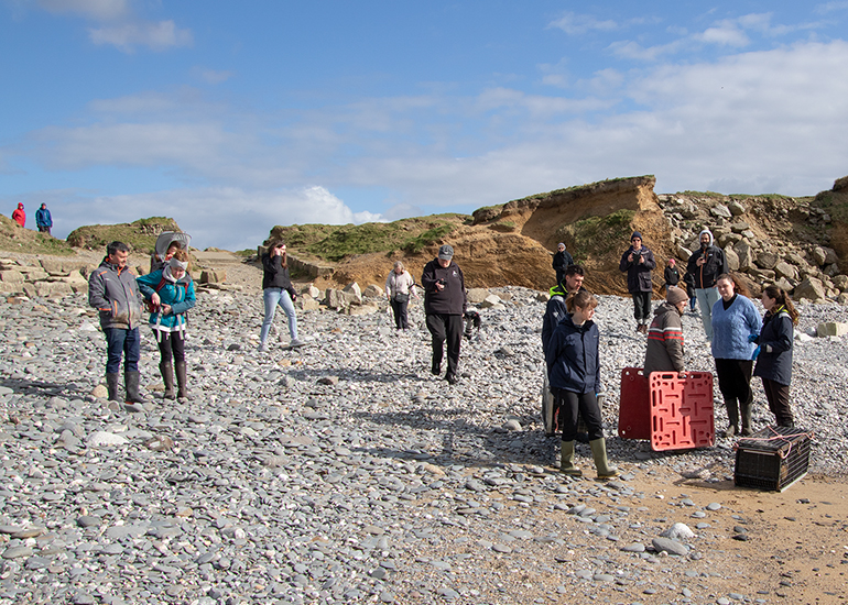 Seal Release - 12th March 2025