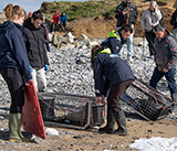 Seal Release - 12th March 2025
