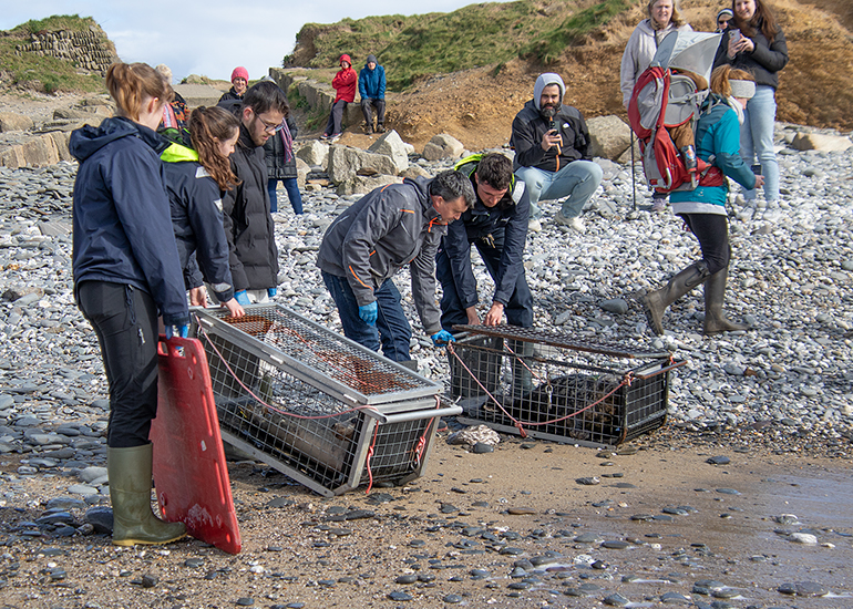 Seal Release - 12th March 2025