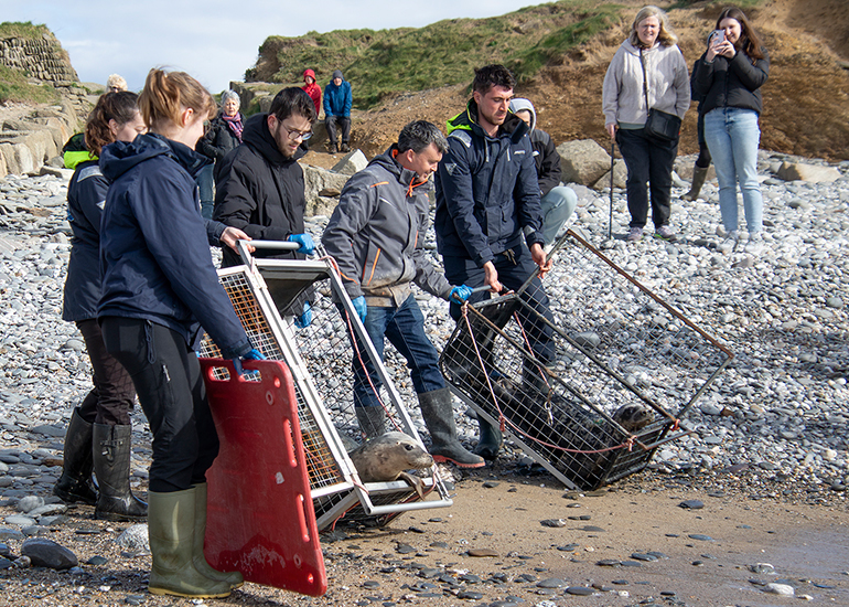Seal Release - 12th March 2025