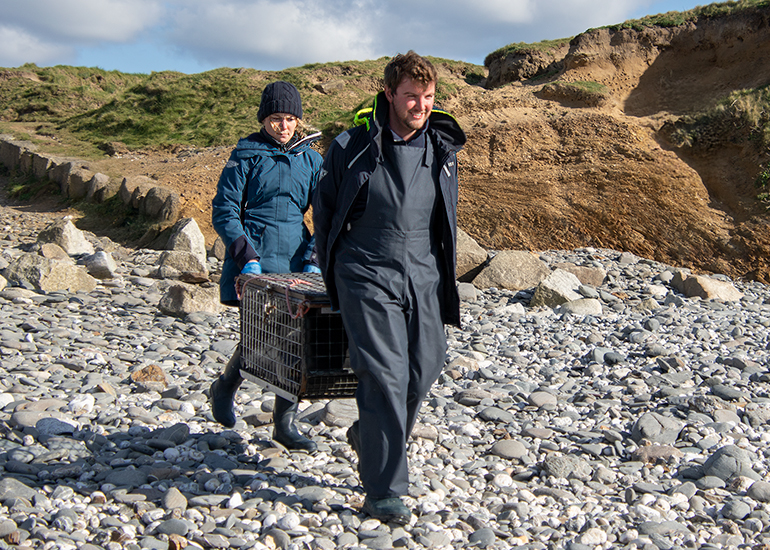 Seal Release - 13th March 2025
