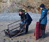 Seal Release - 13th March 2025