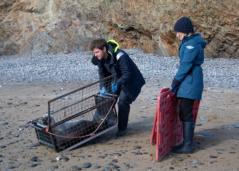 Seal Release - 13th March 2025