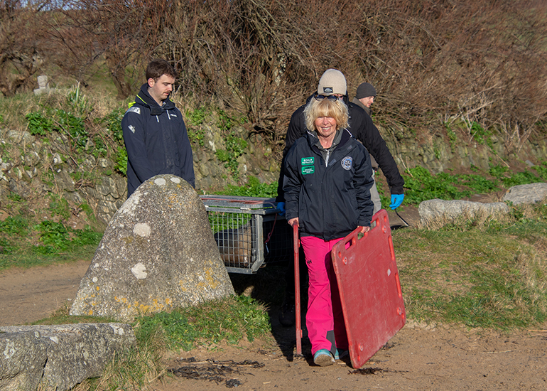 Seal Release - 14th February 2026