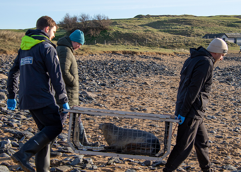 Seal Release - 14th February 2026