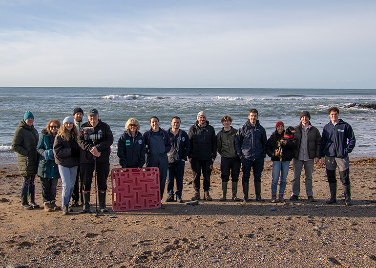 Seal Release - 14th February 2026