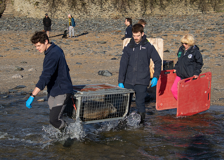 Seal Release - 14th February 2026