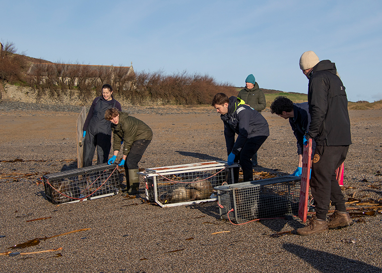 Seal Release - 14th February 2026