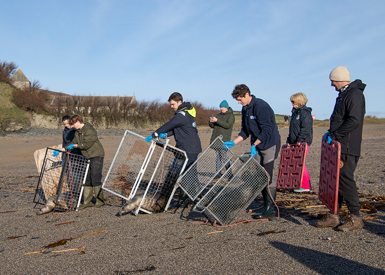 Seal Release - 14th February 2026