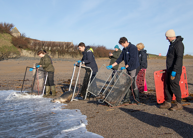 Seal Release - 14th February 2026