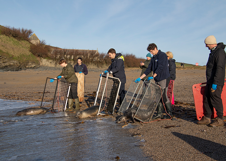 Seal Release - 14th February 2026