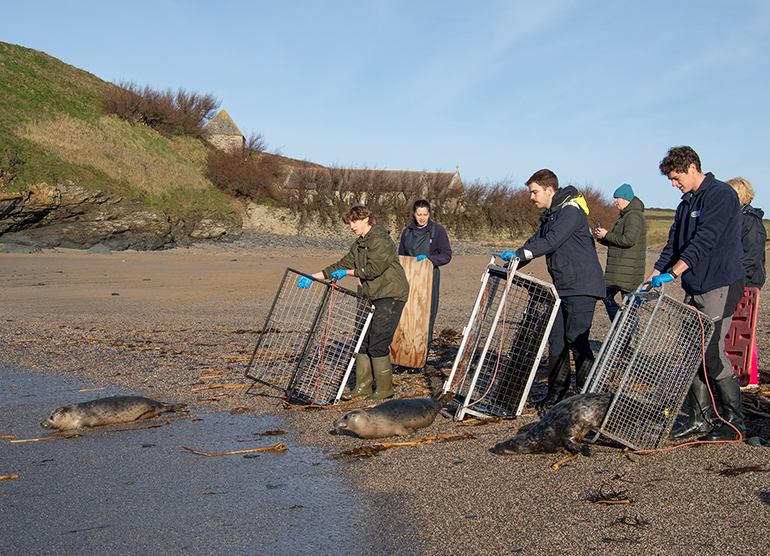 Seal Release - 14th February 2026