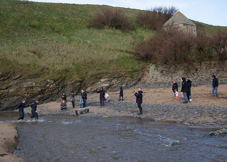 Seal Release - 16th April 2025