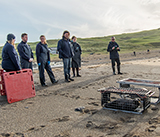 Seal Release - 16th April 2025