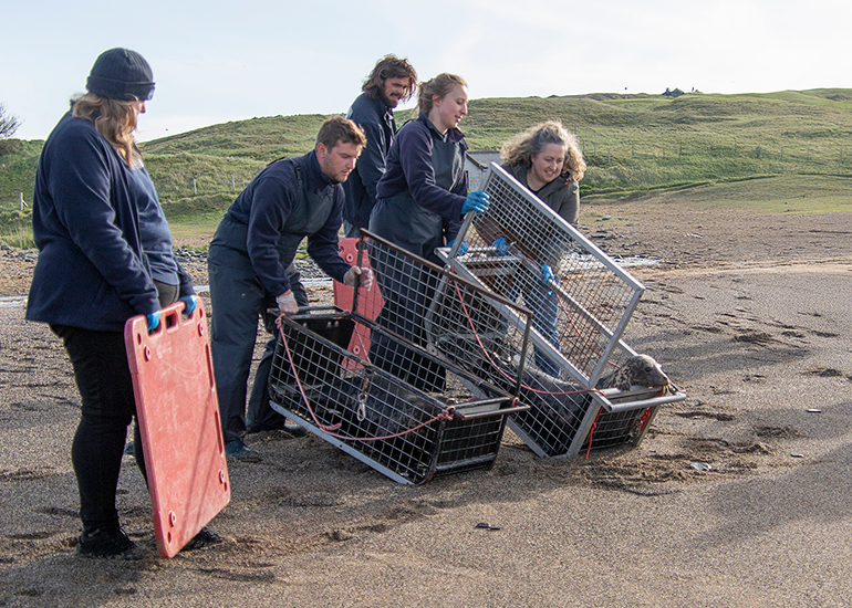 Seal Release - 16th April 2025
