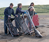 Seal Release - 16th April 2025