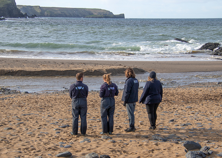 Seal Release - 16th April 2025
