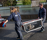 Seal Release - 16th April 2025