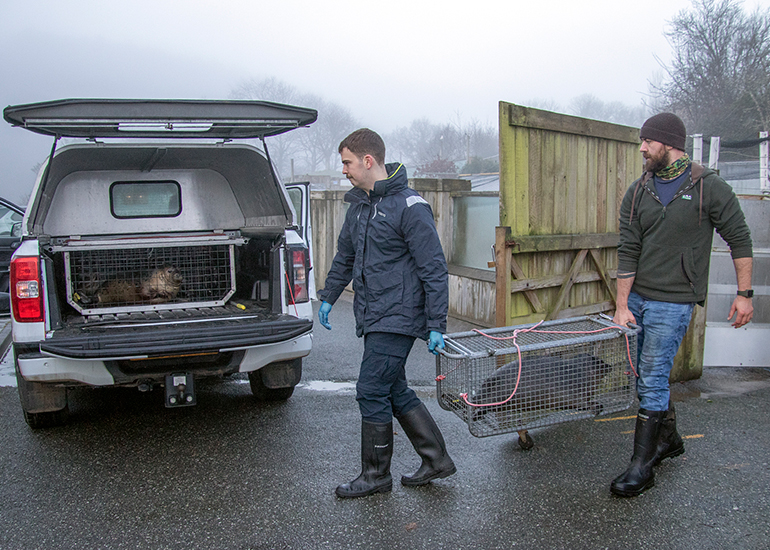 Seal Release - 18th January 2026