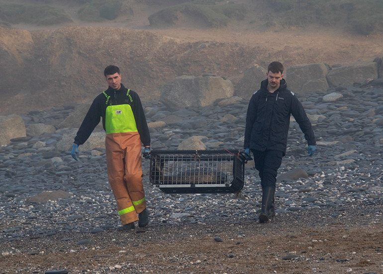 Seal Release - 18th January 2026