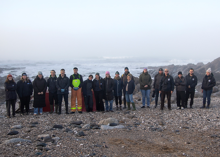 Seal Release - 18th January 2026