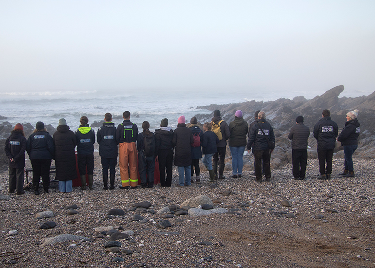 Seal Release - 18th January 2026