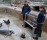 Seal Release - 19th November 2025