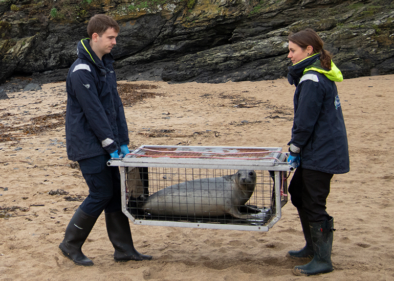 Seal Release - 18th November 2025