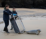 Seal Release - 19th November 2025