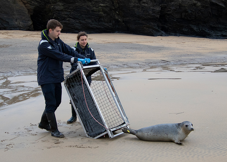 Seal Release - 18th November 2025