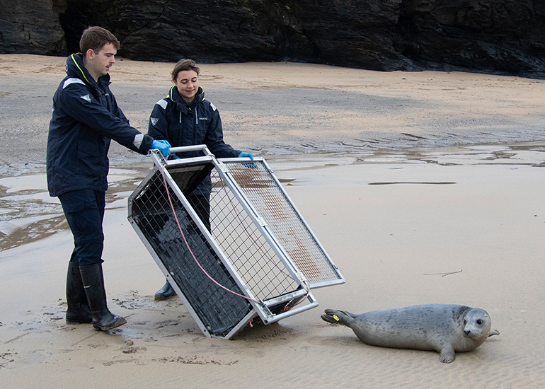 Seal Release - 18th November 2025