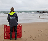 Seal Release - 19th November 2025