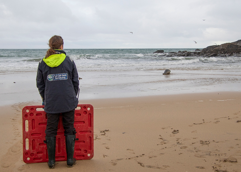 Seal Release - 18th November 2025