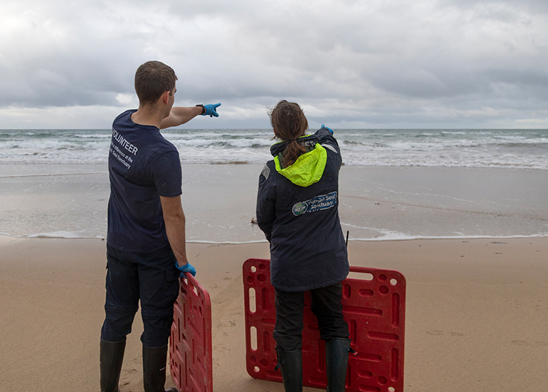 Seal Release - 18th November 2025