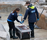 Seal Release - 19th November 2025