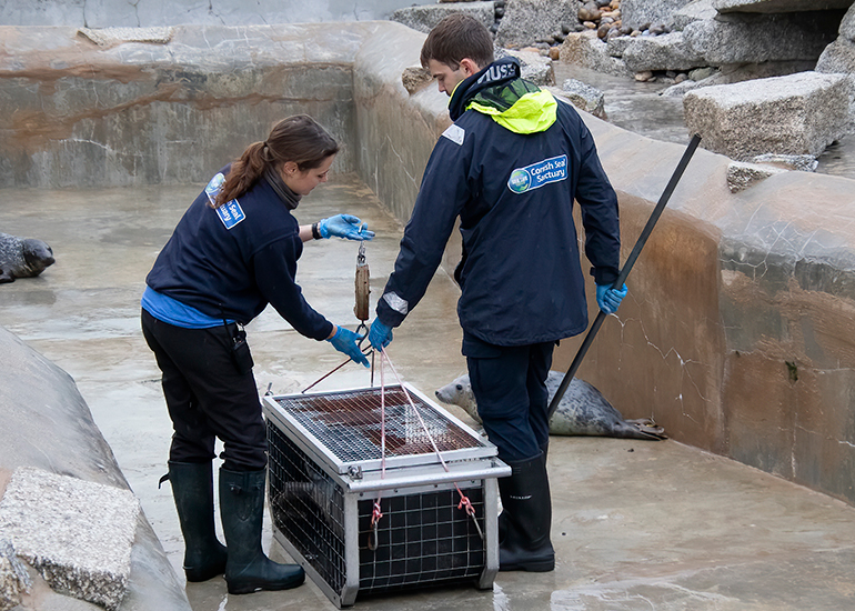 Seal Release - 18th November 2025