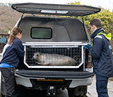 Seal Release - 19th November 2025