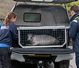 Seal Release - 19th November 2025