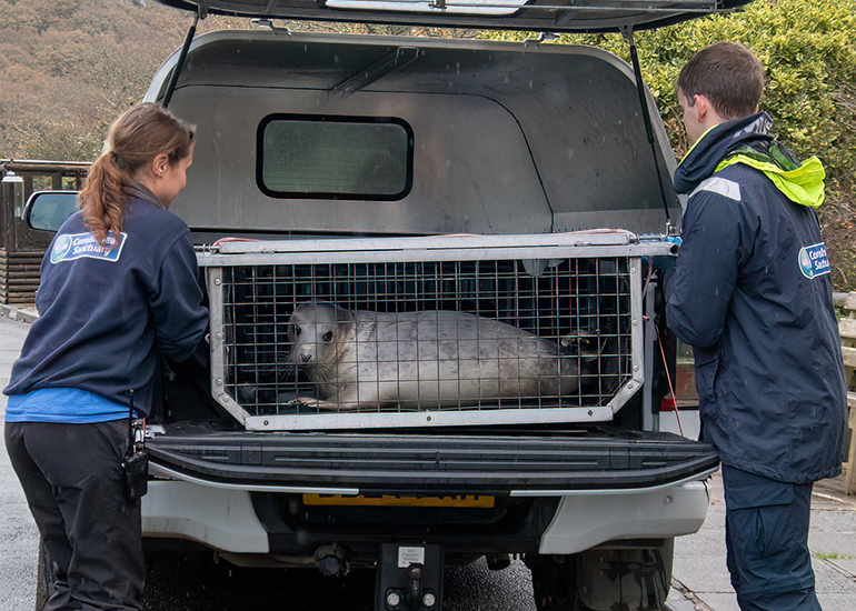 Seal Release - 18th November 2025