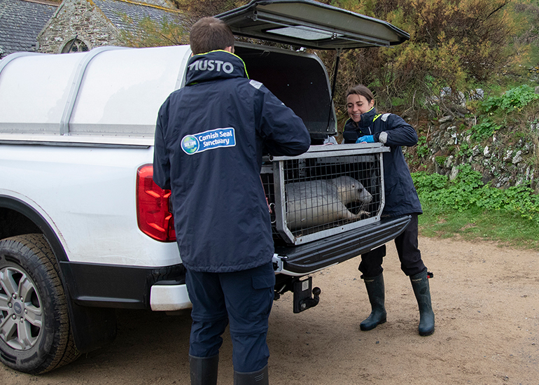 Seal Release - 18th November 2025